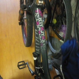 2015 Specialized Jynx Silver, gray or bare metal and Pink