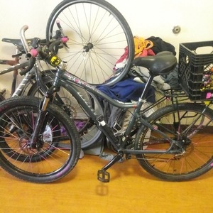 2015 Specialized Jynx Silver, gray or bare metal and Pink