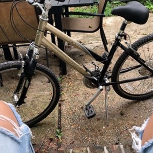 2019 Trek Navigator 300 Black and Yellow or Gold