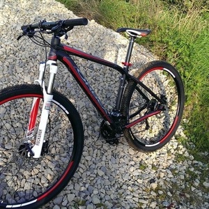 2013 Orbea Alma 29er  Silver or Gray