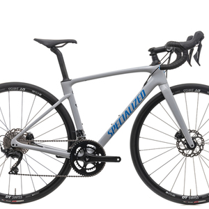2020 Specialized Roubaix Sport Silver, gray or bare metal