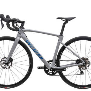 2020 Specialized Roubaix Sport Silver, gray or bare metal