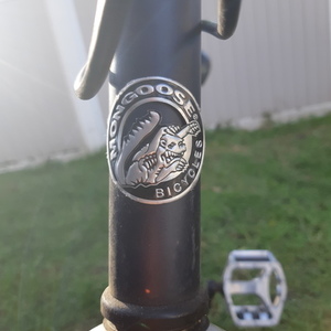 Mongoose Frontier Blue and White