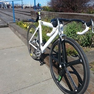 2013 Leader Bikes 725  White