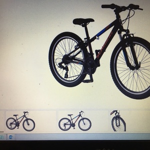 Schwinn Thrasher Black