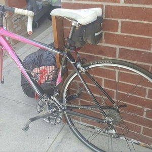 2008 LeMond Racing Cycles Zirch Race Light Pink and Black