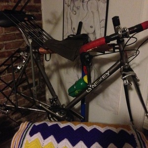 2015 Lynskey Viale Silver, gray or bare metal