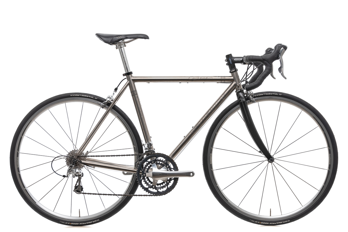 merlin cyrene for sale