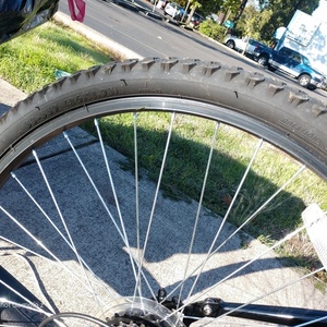 2019 Mongoose R415TG Black, Blue, and Red