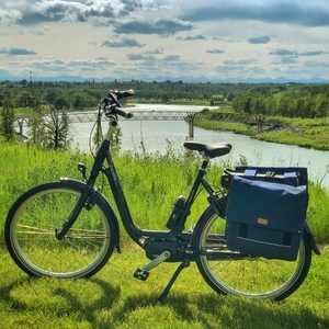 2019 Gazelle Easy Flow Black