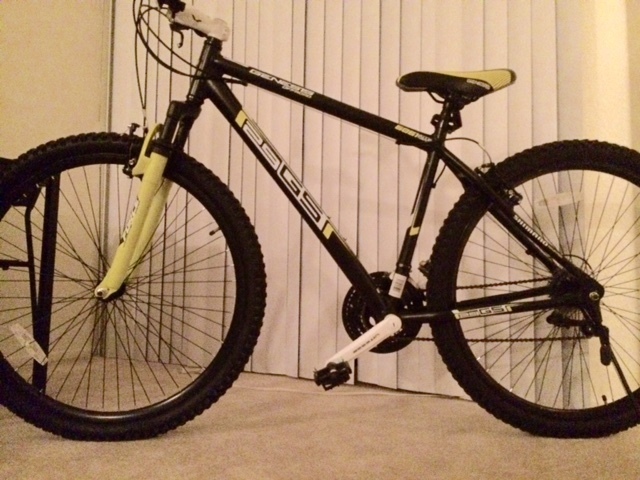 Stolen 2014 Kent 29
