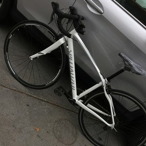 2017 Specialized 2017 White