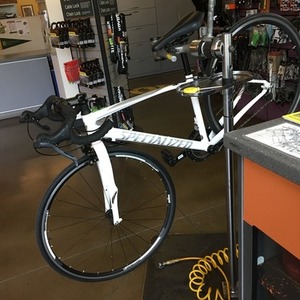 2017 Specialized 2017 White