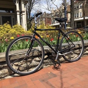 Trek 730 Multitrack Black