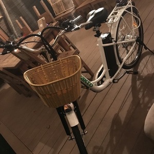2019 evenflo electrical bicycle White