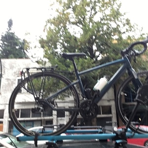 2016 Giant Revolt Blue