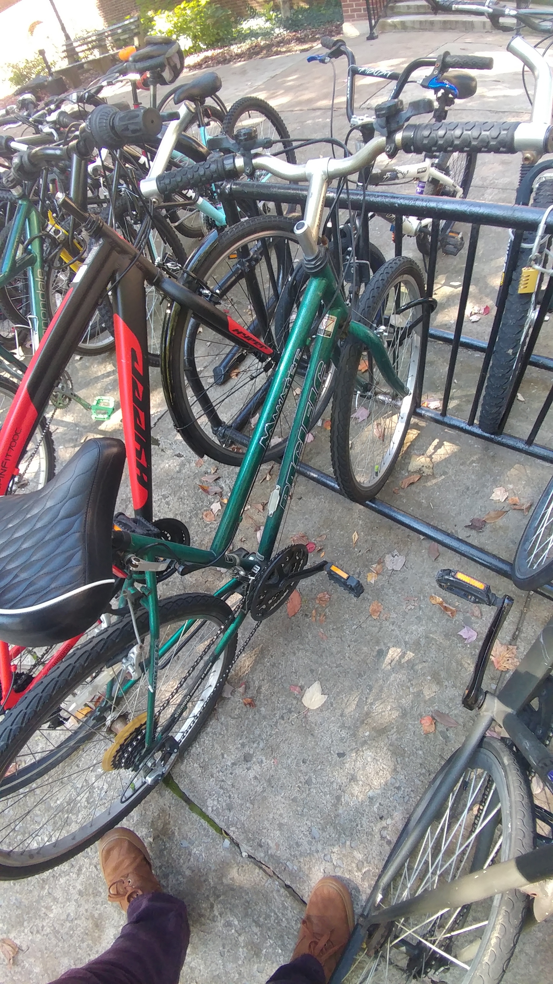 Pacific Cycle Manatee