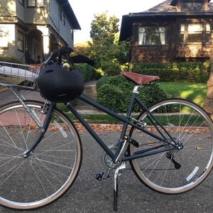 2017 Handsome Cycles She Devil City Silver, gray or bare metal