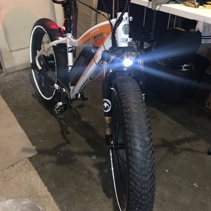 2019 Rad Power Bikes JB-TDE00Z White