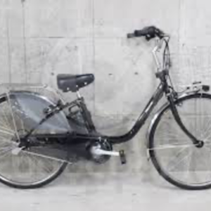 2018 Panasonic BE-1ELD634B (ViVi DX? Pedal Assist) Black