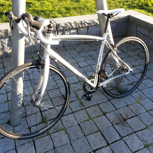 2013 Norco Bikes Valence  Silver or Gray