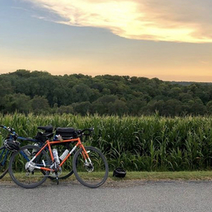 All City Orange