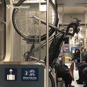 2018 Salsa Vaya Silver, gray or bare metal