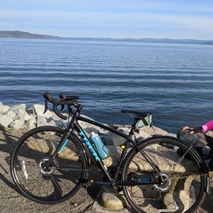 2017 Trek Domane Black and Blue
