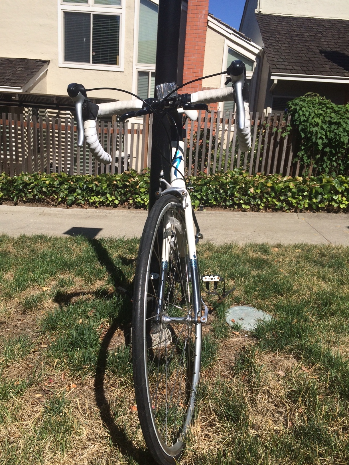 specialized dolce compact