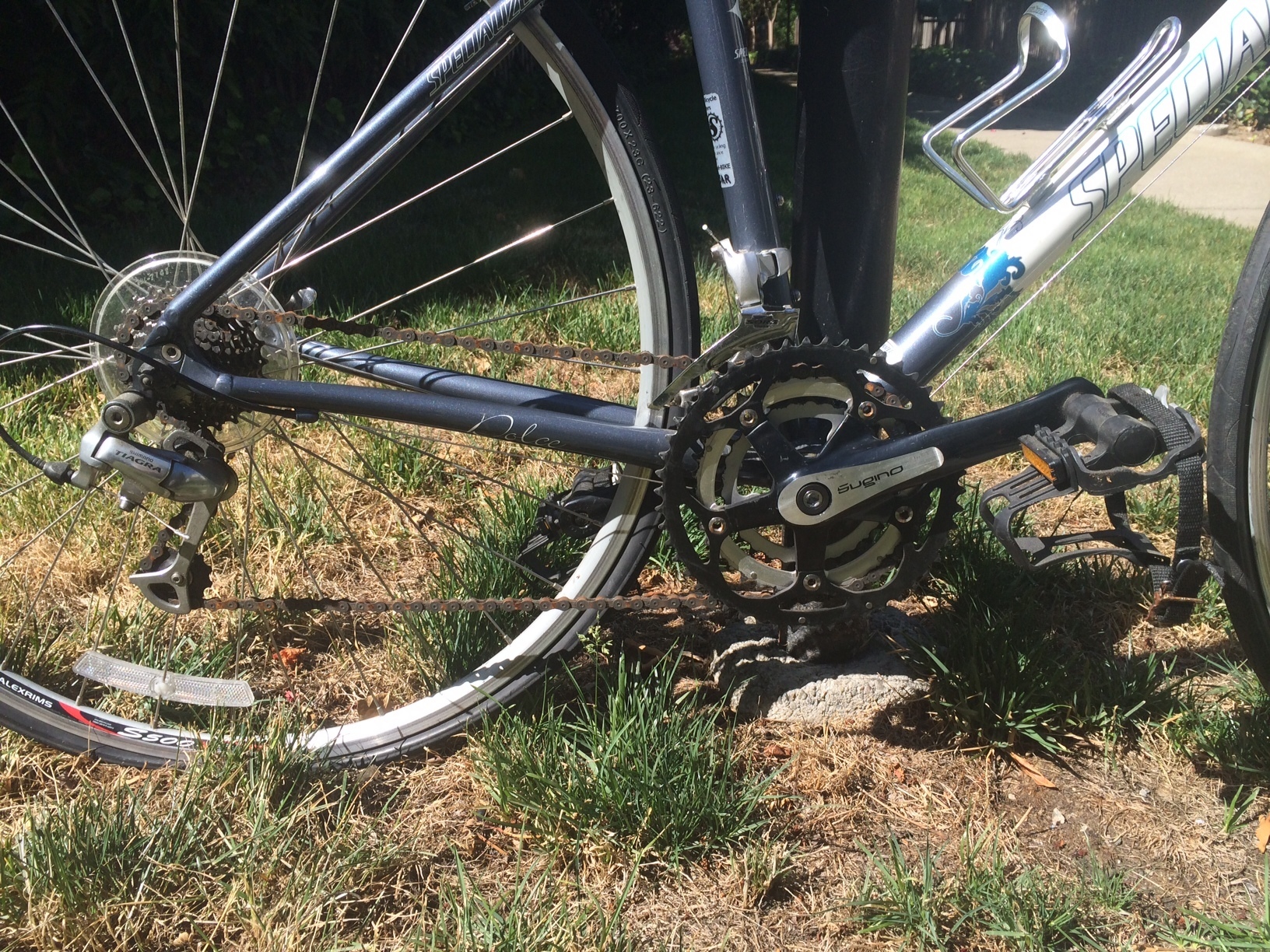 specialized dolce compact