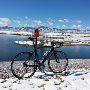 2010 Orbea Diem  Black