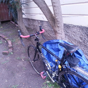 2004 Specialized Allez Triple  Black