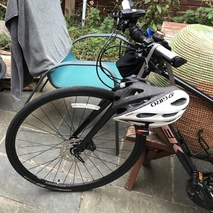 2019 Trek FX Sport 4 Black