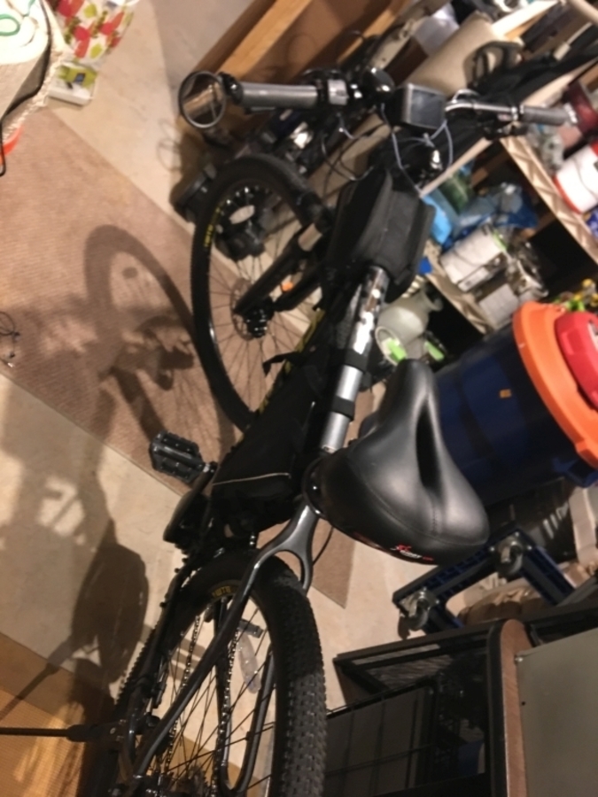 schwinn santis specs