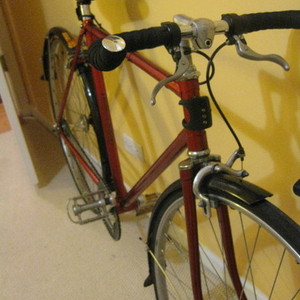 Raleigh Robin Hood  Red