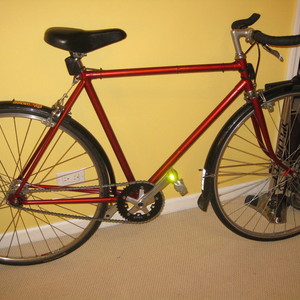 Raleigh Robin Hood  Red