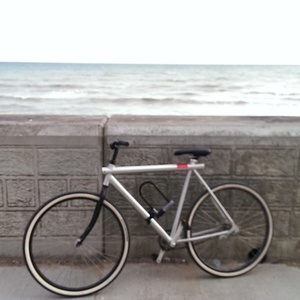 2012 Vanmoof  Silver or Gray