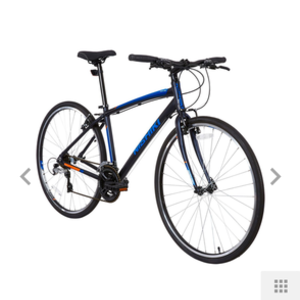 Nishiki Manitoba Blue and Black