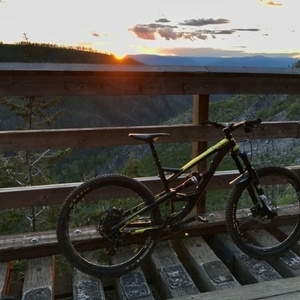 2016 YT Capra Black and Yellow or Gold