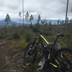 2016 YT Capra Black and Yellow or Gold