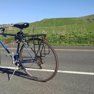 Schwinn Sprint  Blue