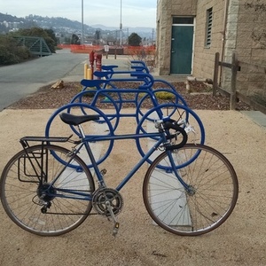 Schwinn Sprint  Blue
