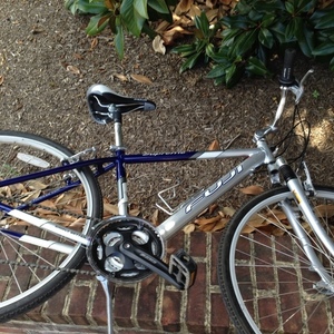 Fuji Supreme Silver, gray or bare metal