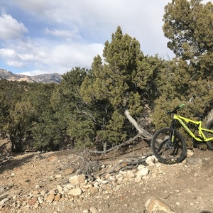 2018 Juliana Bicycles Roubion Green