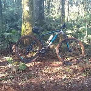 2017 Oggi Hardtail 29er 7.0 Bigwheel supercompetition Black and Blue