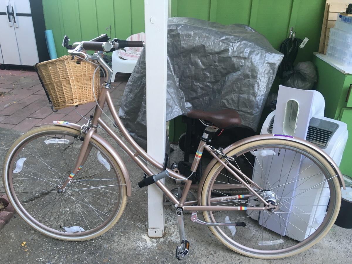 2019 PUBLIC bikes C7i