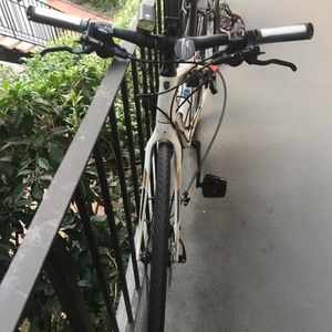 2019 Trek FX3 White