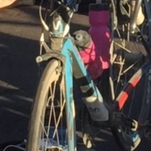 2019 Savadeck (Chinese-manufactured carbon bike from Amazon.com) TORAY T800 Carbon Fiber Frame, 5...