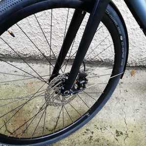2019 Desiknio Pinion Urban C1.6 Silver, gray or bare metal and Black