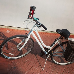 2019 Raleigh Capri Carbon 3 White